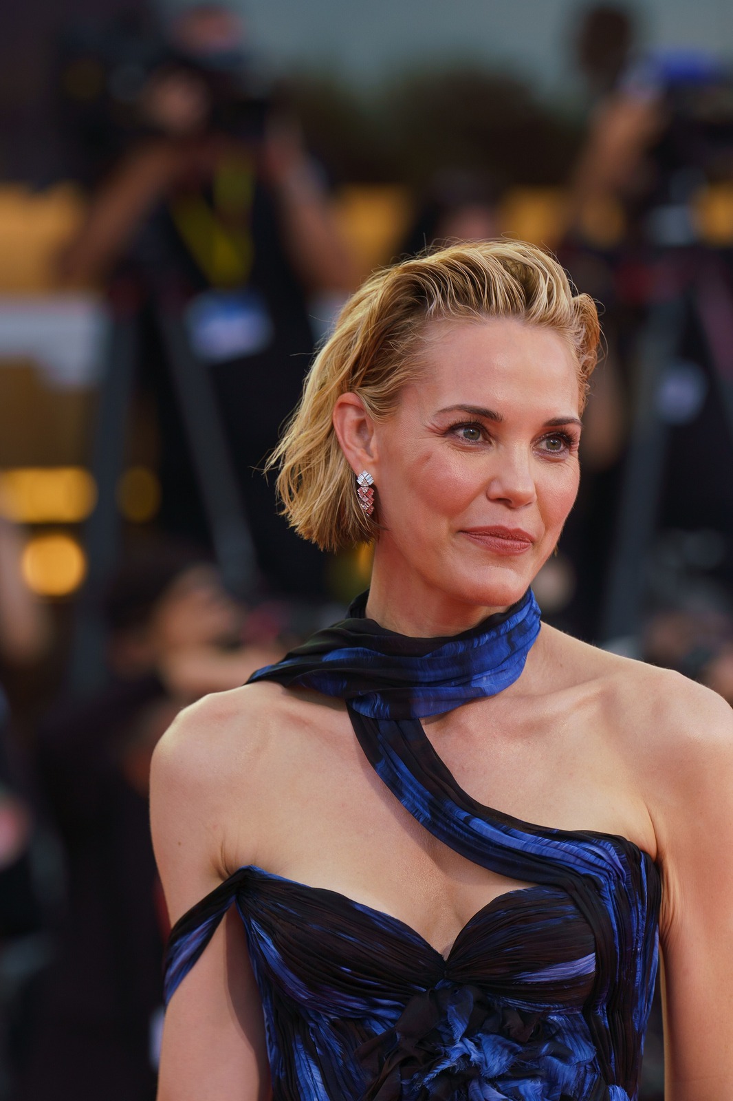 Leslie Bibb